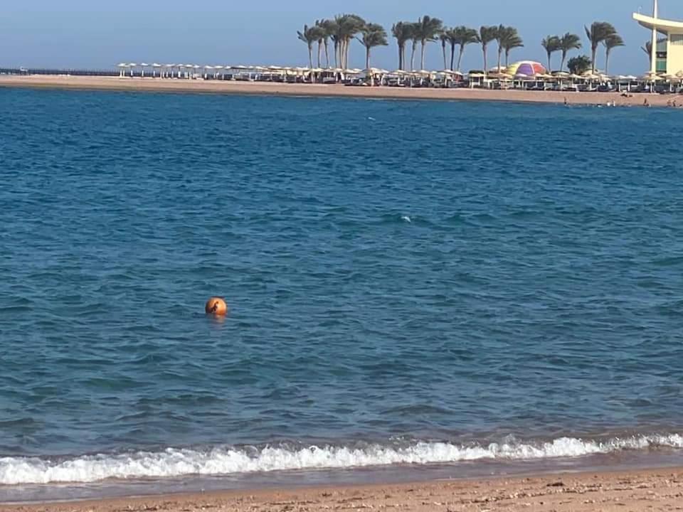 Apartment In Porto Sharm Vip Extérieur photo